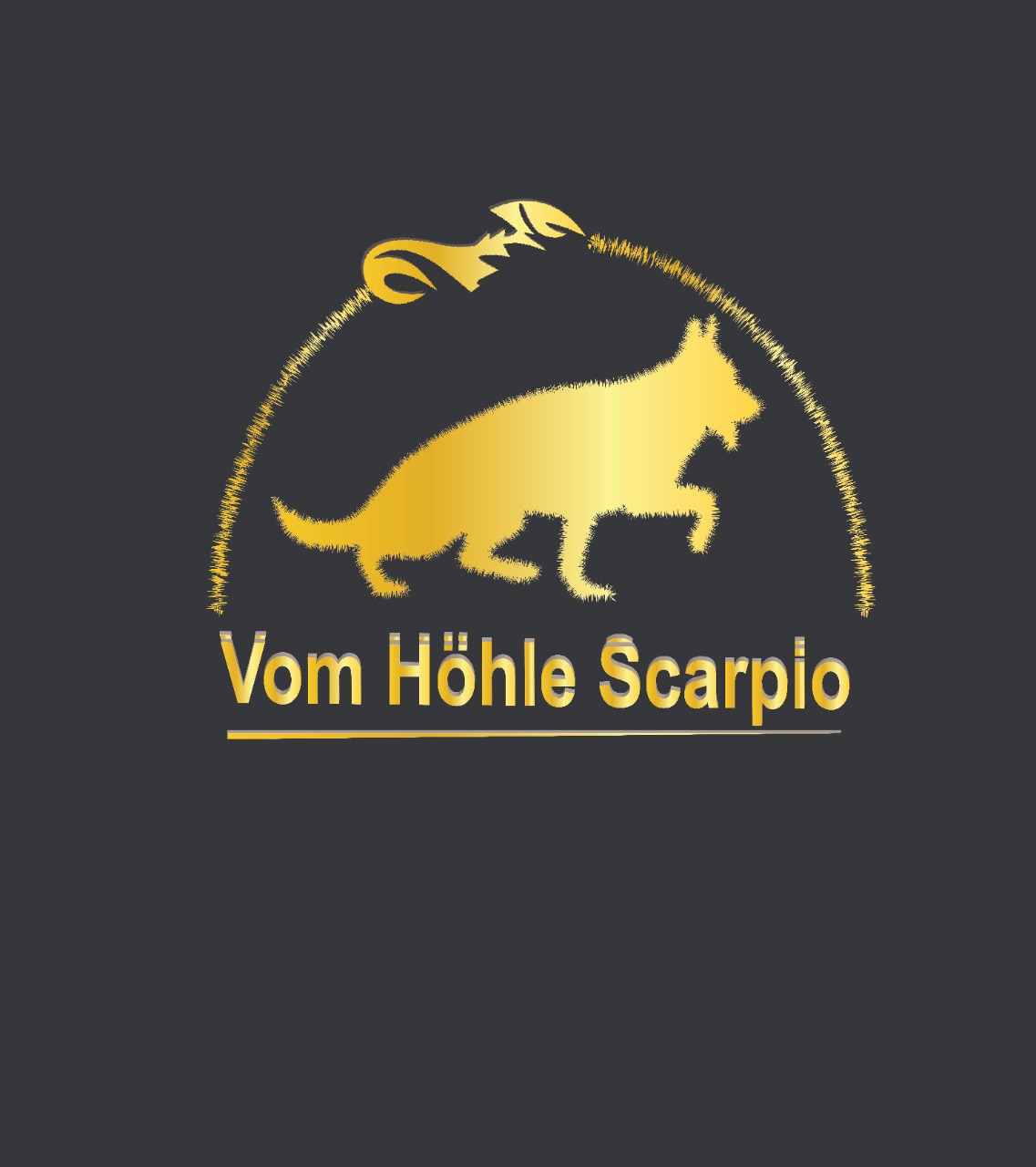 Picture of Höhle Scarpio 